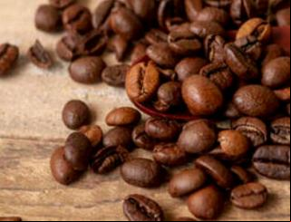 Preço do café apresenta elevação, nesta segunda-feira (9)